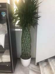 -悟空祛痘·诺奖技术专业店