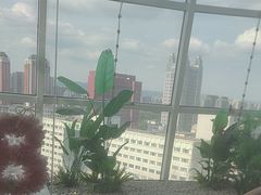 -海底捞火锅(振华广场生日主题店)