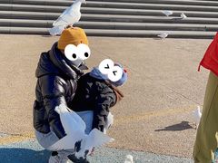 -烟台海昌鲸鲨海洋公园