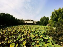-莲池书院博物馆