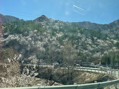-妙峰山风景名胜区