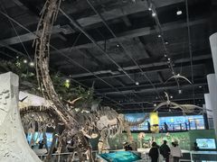 -国家自然博物馆