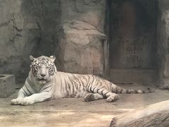 -银川动物园