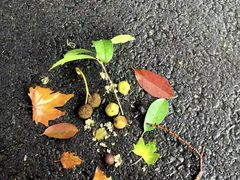 -河南省黄河迎宾馆