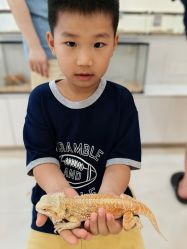 -Moni星球萌宠·小马宝莉·灵蛇·高端高阶全萌宠互动体验俱乐部(红豆国际广场店)