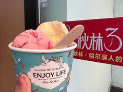 冰淇淋球-秋林食品(秋林公司店)