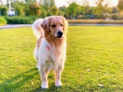 -前小桔亲子创意农场·草莓采摘·露营烧烤