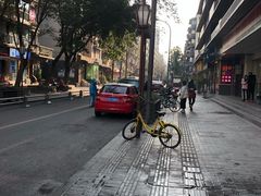 -泡桐树街