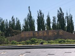 -永定河休闲森林公园