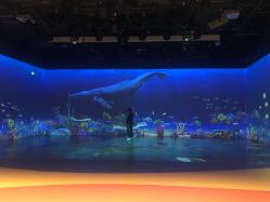 -小鸡哆哆故事屋·儿童乐园(嘉里城店)