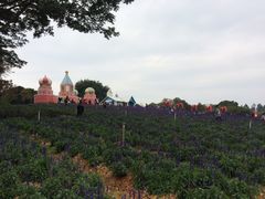 -松山湖梦幻百花洲