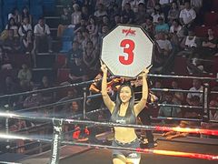 -芭提雅MAX泰拳馆