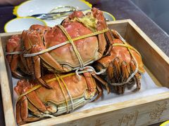 大闸蟹-黄记大闸蟹专卖店·活蟹·醉蟹
