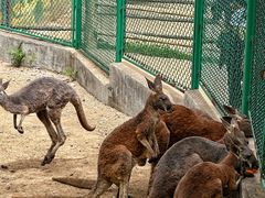 -西安秦岭野生动物园