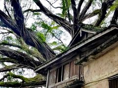 -福建土楼(南靖)景区