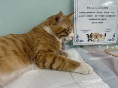 -达爱动物医院·犬猫分区·CT·复杂眼科(远洋山水分院)
