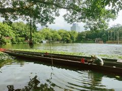 -荔湾湖公园