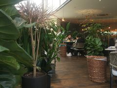 -大树餐厅(红旗街万达店)