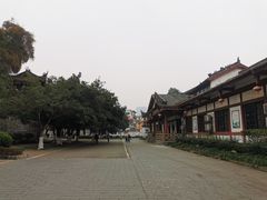 -桂湖森林公园