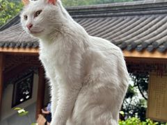 -杭州上天竺法喜讲寺