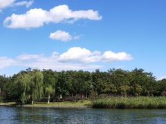 -大兴滨河森林公园