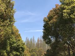 -同里国家湿地公园