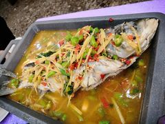 活渡花鲢-蜀江春(科华北路店)