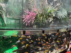 -太平洋海底世界