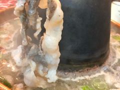 -月圆火锅(宁海东路二店)