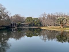 -上海滨江森林公园