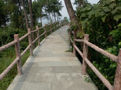 -铁山坪森林公园