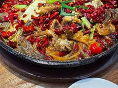 -老板恋上鱼(恒隆广场店)