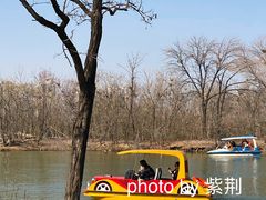 -天津水上公园
