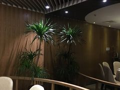 包厢-一轩饺子馆(丽都店)