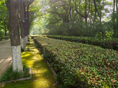 -洛阳市隋唐城遗址植物园