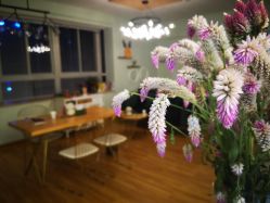 -星漾美学美容美体中心