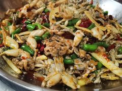 子姜蛙-呱呱兔庄