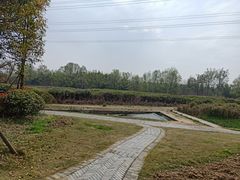 -桤木河湿地公园