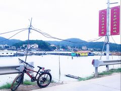 -广东惠东海龟国家级自然保护区