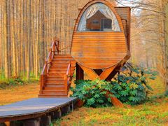 -黄海国家森林公园