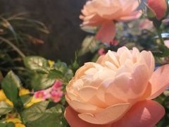-听香·678茶铺(猛追湾店)
