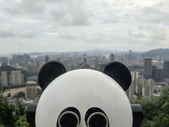 -板樟山森林公园