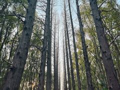 -同里国家湿地公园