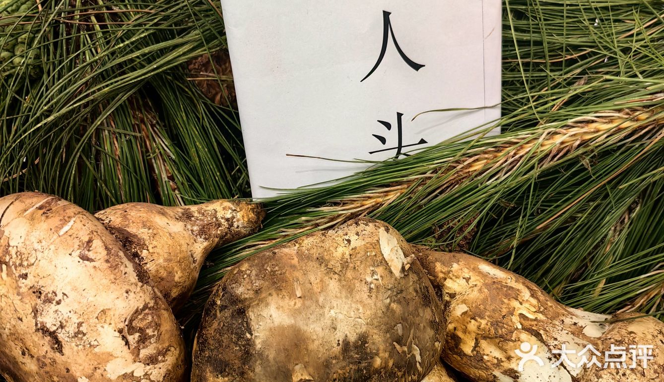 又称为蘑菇或蕈，是一类生长在树丛或草丛中的大型真菌