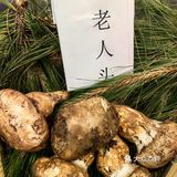 又称为蘑菇或蕈，是一类生长在树丛或草丛中的大型真菌