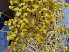 -吃城都·鱼蛙火锅(西玉龙街店)