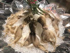 -煲宫猪肚鸡(昆山金鹰国际购物中心店)