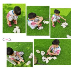 -萌宠亲子动物乐园(槐房万达店)