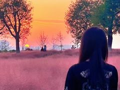 -汉长安城未央宫国家考古遗址公园