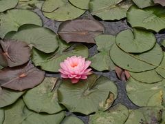 -洋湖国家湿地公园